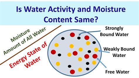 water activity and moisture content